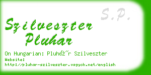 szilveszter pluhar business card